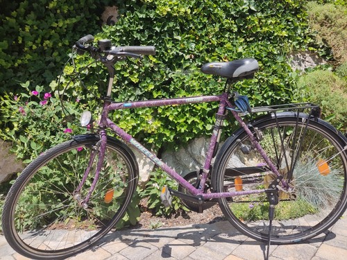 Trekking fahrrad zoll - trekking, 28