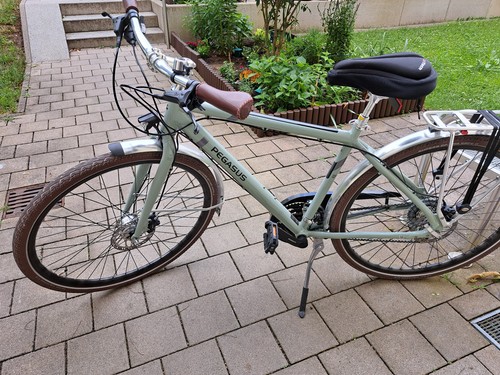 Ein herrenfahrrad gang - herrenfahrrad, gang,